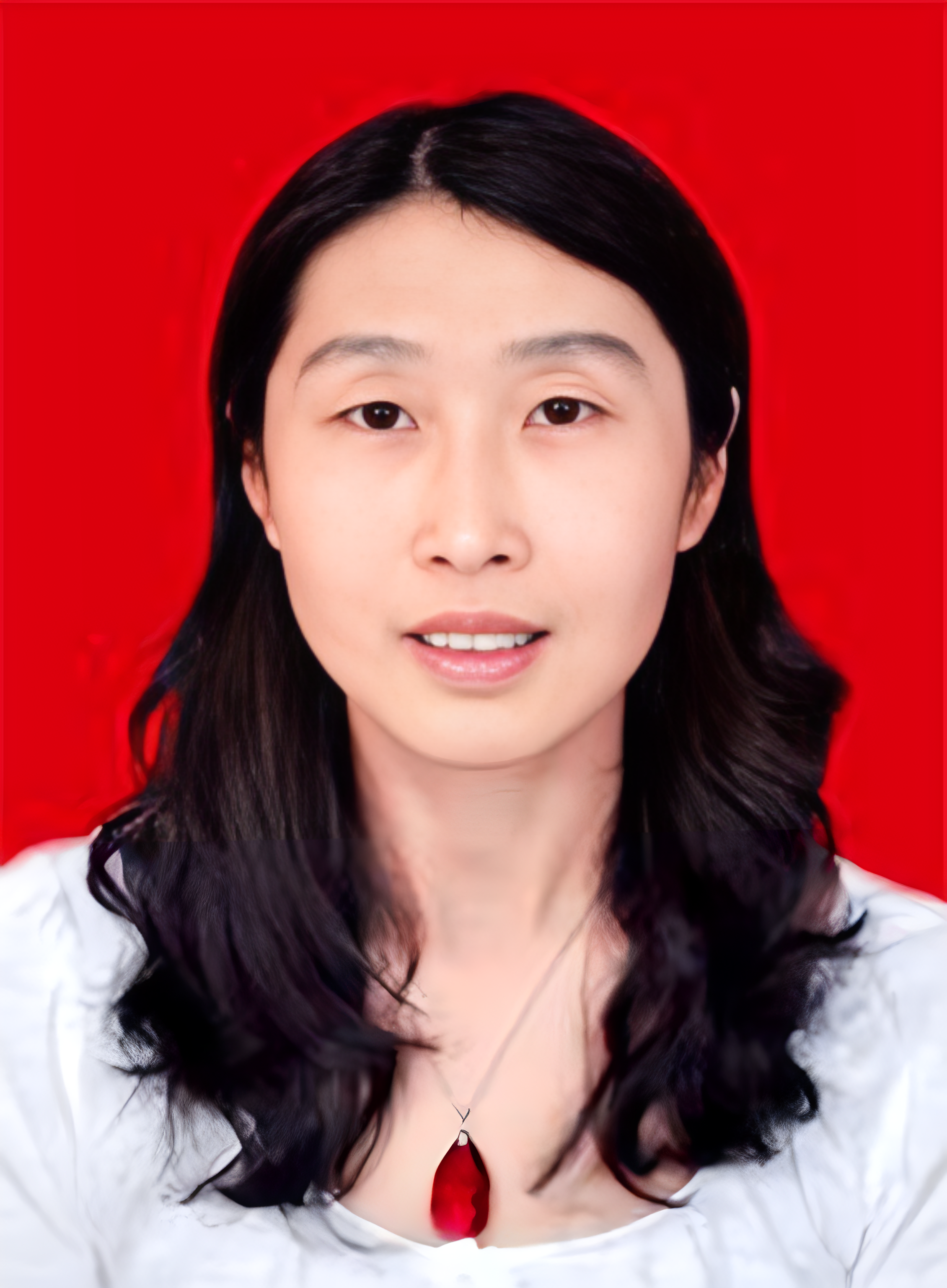Prof. Dr. Xiaojian Hao