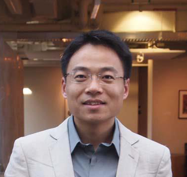 Prof. Dr. Ling Lu