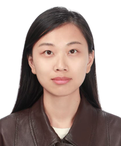 Prof. Dr. Feng Li